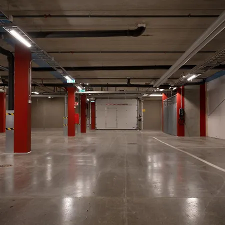 Le Lingonberry D10 Ski-in Ski-out By Aavalevi Levi